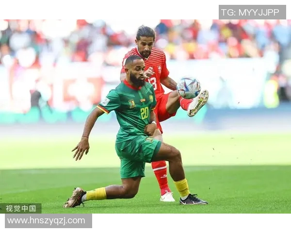 喀麦隆篮球明星的传奇之路与全球影响力探讨